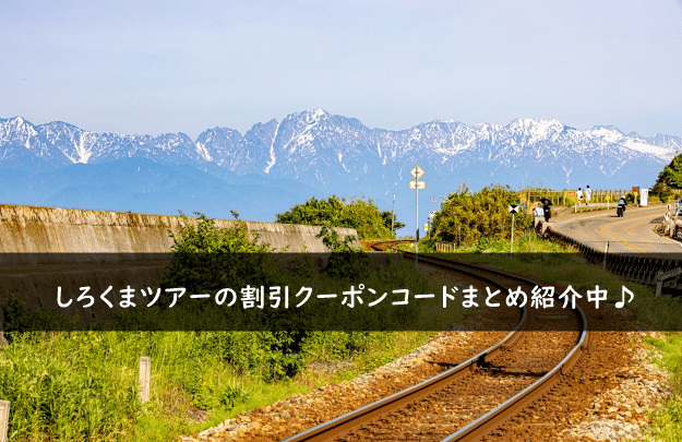 しろくまツアーの割引クーポンコード・キャンペーンまとめ