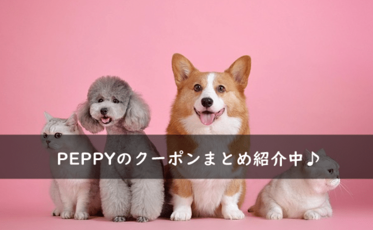 PEPPY(ペピイ)の割引クーポンコード・キャンペーンまとめ