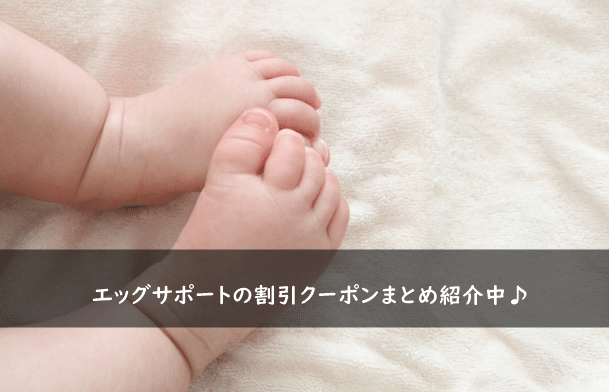 エッグサポートの割引クーポンコード・キャンペーンまとめ